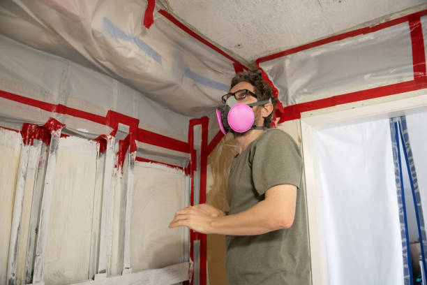 Best Mold Prevention Services  in Hydesville, CA