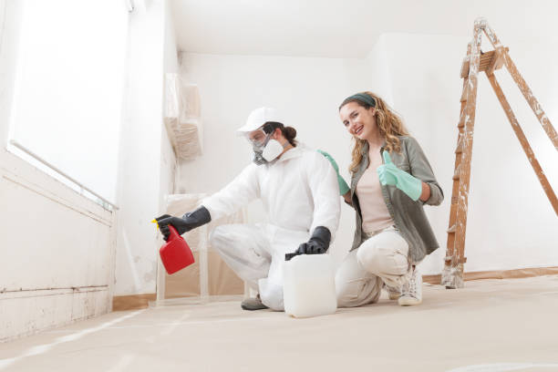 Best Mold Removal for HVAC Installations  in Hydesville, CA
